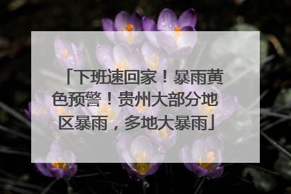 下班速回家！暴雨黄色预警！贵州大部分地区暴雨，多地大暴雨