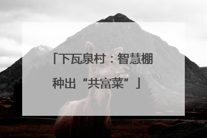 下瓦泉村：智慧棚种出“共富菜”