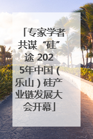 专家学者共谋“硅”途 2025年中国（乐山）硅产业链发展大会开幕