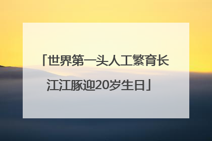世界第一头人工繁育长江江豚迎20岁生日