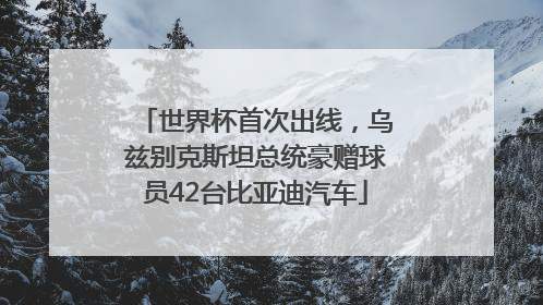 世界杯首次出线，乌兹别克斯坦总统豪赠球员42台比亚迪汽车