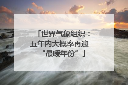 世界气象组织：五年内大概率再迎“最暖年份”