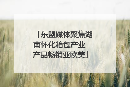 东盟媒体聚焦湖南怀化箱包产业 产品畅销亚欧美