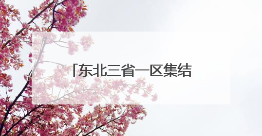 东北三省一区集结“揽才” 逾八千海内外博士奔赴而来
