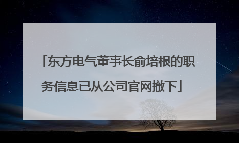 东方电气董事长俞培根的职务信息已从公司官网撤下