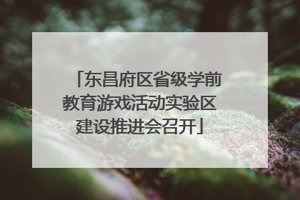 东昌府区省级学前教育游戏活动实验区建设推进会召开