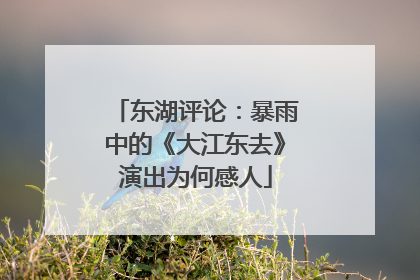 东湖评论：暴雨中的《大江东去》演出为何感人