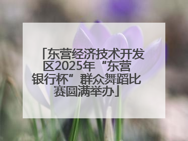 东营经济技术开发区2025年“东营银行杯”群众舞蹈比赛圆满举办