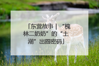 东营故事｜“槐林二奶奶”的“土潮”出圈密码