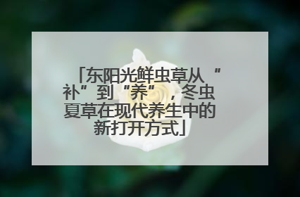 东阳光鲜虫草从“补”到“养”，冬虫夏草在现代养生中的新打开方式