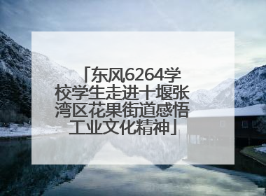 东风6264学校学生走进十堰张湾区花果街道感悟工业文化精神