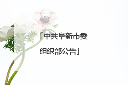 中共阜新市委组织部公告