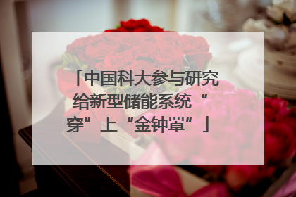 中国科大参与研究 给新型储能系统“穿”上“金钟罩”
