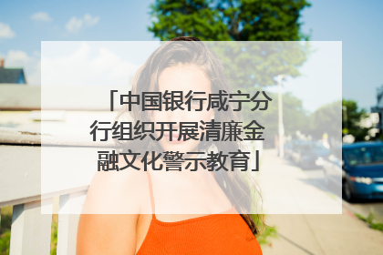 中国银行咸宁分行组织开展清廉金融文化警示教育