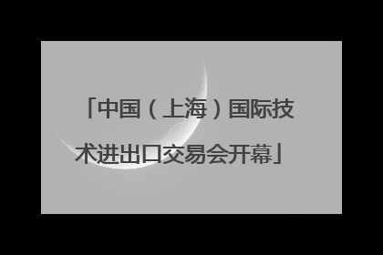 中国（上海）国际技术进出口交易会开幕