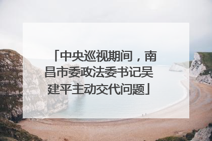 中央巡视期间，南昌市委政法委书记吴建平主动交代问题