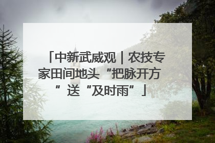 中新武威观｜农技专家田间地头“把脉开方”送“及时雨”