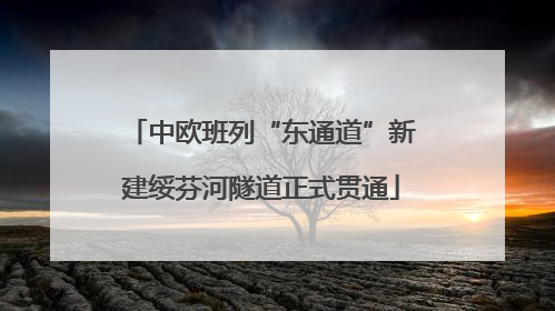 中欧班列“东通道”新建绥芬河隧道正式贯通
