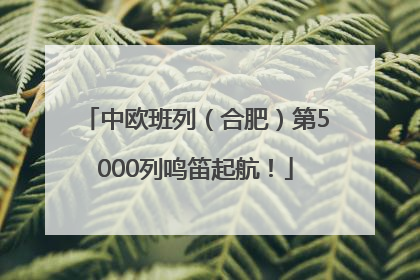 中欧班列（合肥）第5000列鸣笛起航！