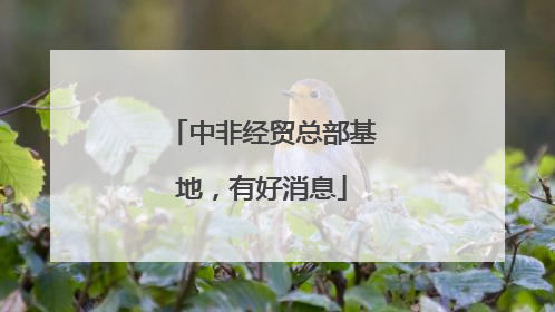中非经贸总部基地，有好消息