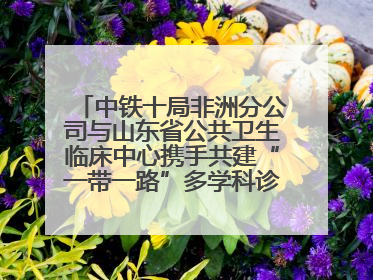 中铁十局非洲分公司与山东省公共卫生临床中心携手共建“一带一路”多学科诊疗协作网