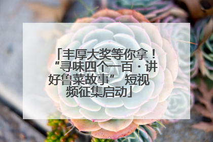丰厚大奖等你拿！“寻味四个一百・讲好鲁菜故事” 短视频征集启动