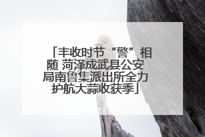丰收时节“警”相随 菏泽成武县公安局南鲁集派出所全力护航大蒜收获季