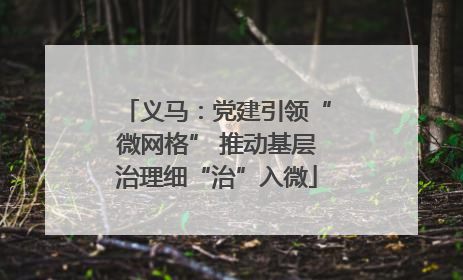 义马：党建引领“微网格” 推动基层治理细“治”入微