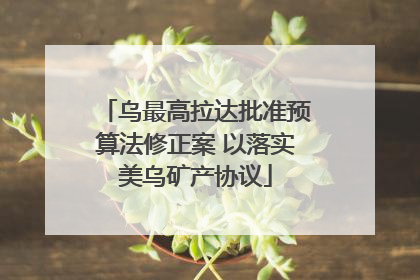 乌最高拉达批准预算法修正案 以落实美乌矿产协议