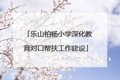 乐山柏杨小学深化教育对口帮扶工作建设