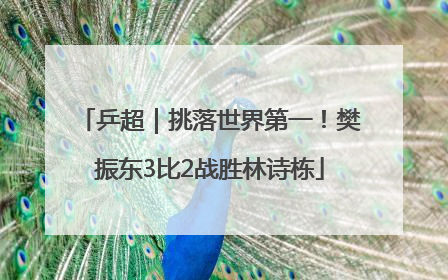 乒超｜挑落世界第一！樊振东3比2战胜林诗栋