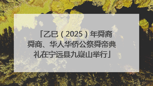 乙巳（2025）年舜裔舜商、华人华侨公祭舜帝典礼在宁远县九嶷山举行