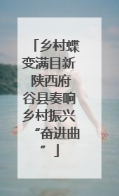 乡村蝶变满目新 陕西府谷县奏响乡村振兴“奋进曲”