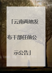 云南两地发布干部任前公示公告