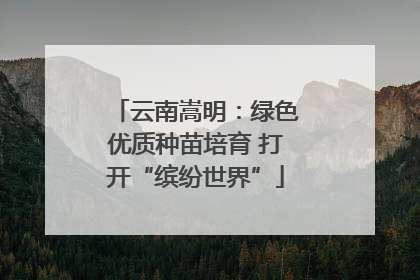 云南嵩明：绿色优质种苗培育 打开“缤纷世界”