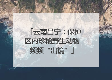 云南昌宁：保护区内珍稀野生动物频频“出镜”