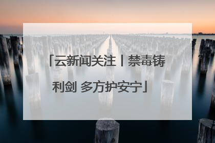 云新闻关注丨禁毒铸利剑 多方护安宁