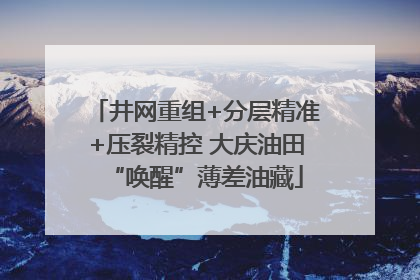 井网重组+分层精准+压裂精控 大庆油田“唤醒”薄差油藏