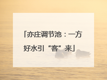 亦庄调节池：一方好水引“客”来