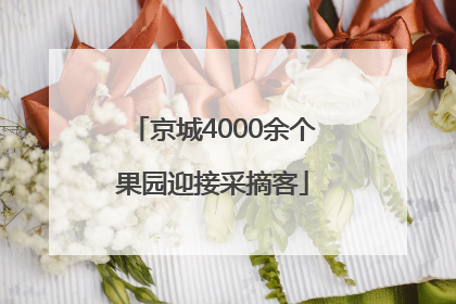 京城4000余个果园迎接采摘客