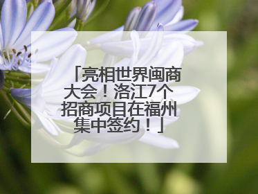亮相世界闽商大会！洛江7个招商项目在福州集中签约！