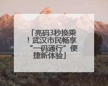 亮码3秒换乘！武汉市民畅享“一码通行”便捷新体验