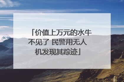 价值上万元的水牛不见了 民警用无人机发现其踪迹