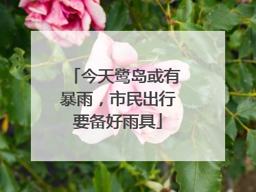 今天鹭岛或有暴雨，市民出行要备好雨具