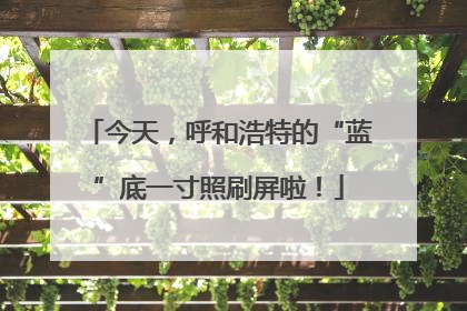 今天，呼和浩特的“蓝”底一寸照刷屏啦！
