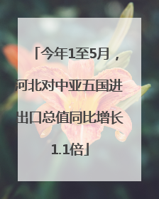 今年1至5月，河北对中亚五国进出口总值同比增长1.1倍