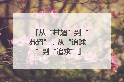 从“村超”到“苏超”，从“追球”到“追求”