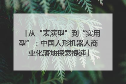 从“表演型”到“实用型”：中国人形机器人商业化落地探索提速