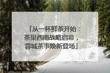 从一杯鲜茶开始：茶巢西南战略启幕，蓉城茶事焕新登场