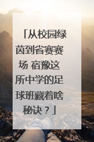 从校园绿茵到省赛赛场 宿豫这所中学的足球班藏着啥秘诀？